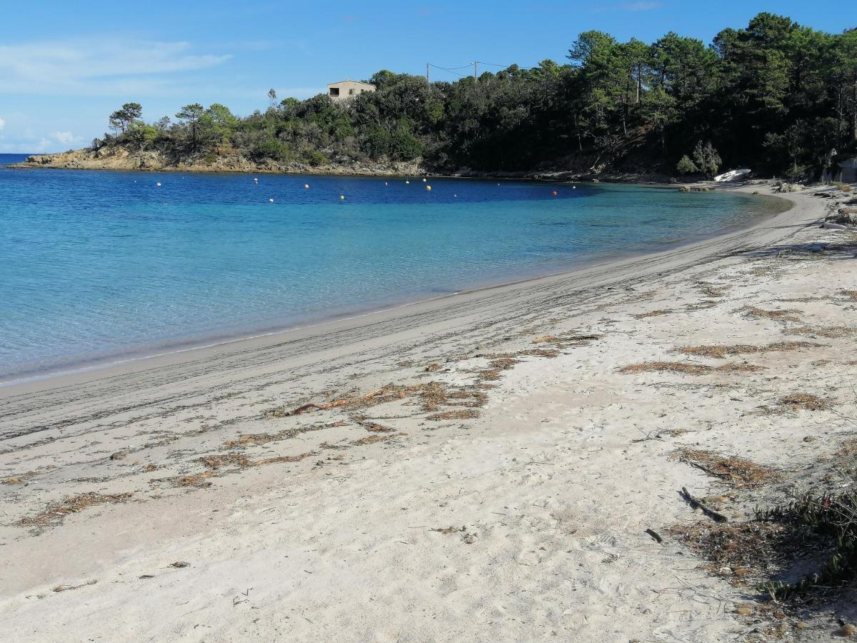 Favone Mini Villa Playa Del Oro المظهر الخارجي الصورة