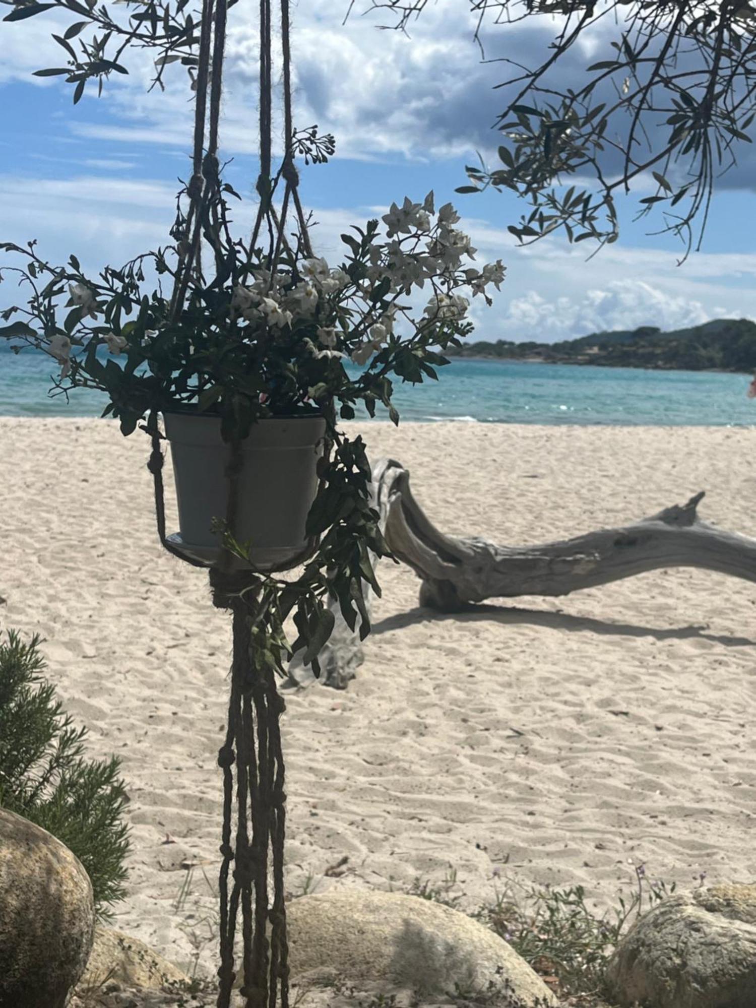 Favone Mini Villa Playa Del Oro المظهر الخارجي الصورة