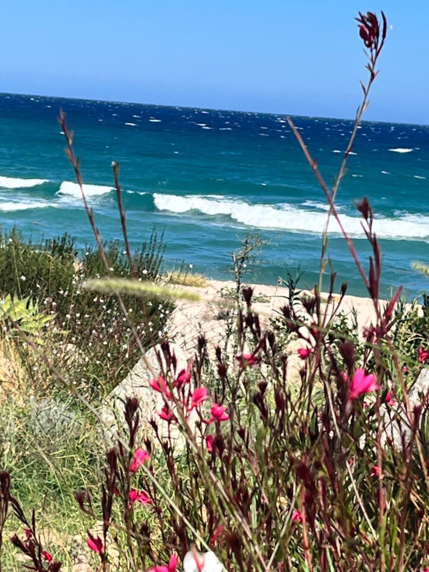 Favone Mini Villa Playa Del Oro المظهر الخارجي الصورة